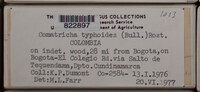Image Associated With the Occurence